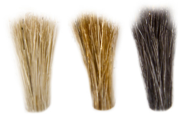 Wapsi Wild Boar Hair