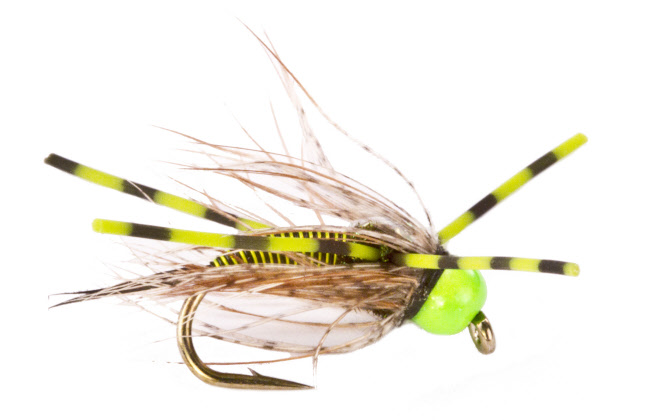 Rubber Leg Hot Head Rubber Leg Hot Head Trout Fly