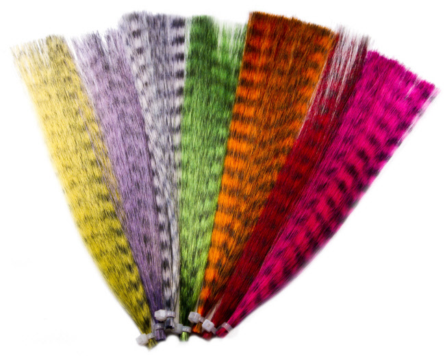 Grizzly Fiber Grizzly Fiber