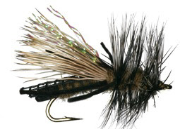 Skwala Skwala Trout Dry Fly