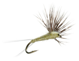 Comparadun Trout Dry Fly