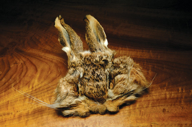 Hareline Hare