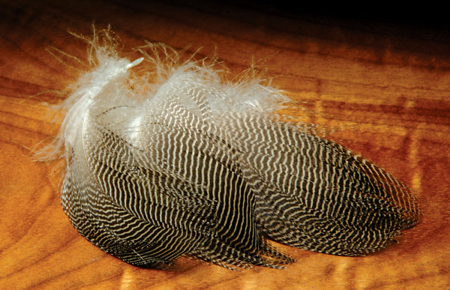 Hareline Gadwall Feathers