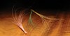 Premium Quill Body material for crafting high-floating dry flies.