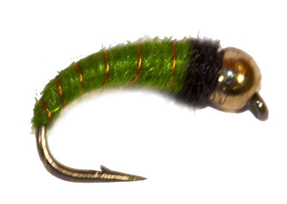 Caddis Larva Trout Fly, Best Trout Fly Fishing Nymph Flies, The Fly  Fishers