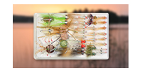 Saltwater fly assortments