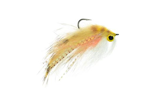 Bennetts Lunch Money Bass Fly Bennetts Lunch Money Fly Fishing Fly Bass