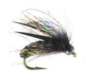 Morrish Hotwire Caddis Wet Fly Olive Morrish Hotwire Caddis Wet Fly Olive