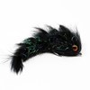 Polar Changer Fly