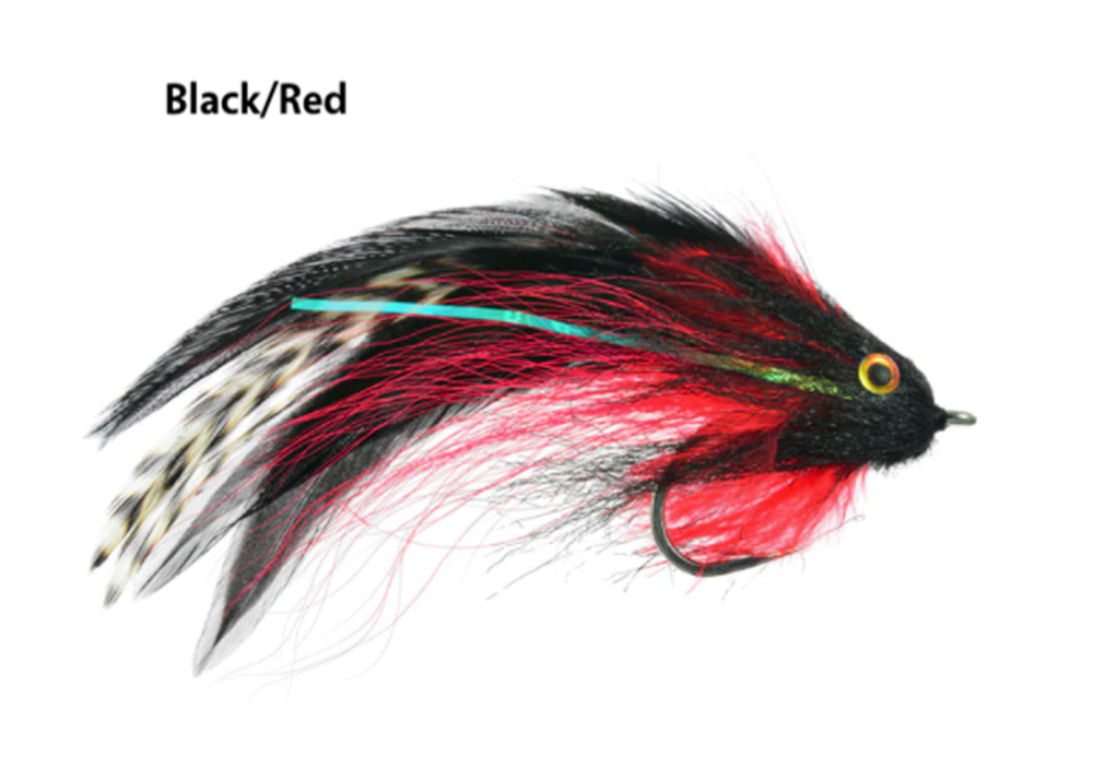 catching fish with circle hooks The Game-Changing Circle Hook and How to Fish it Effectively