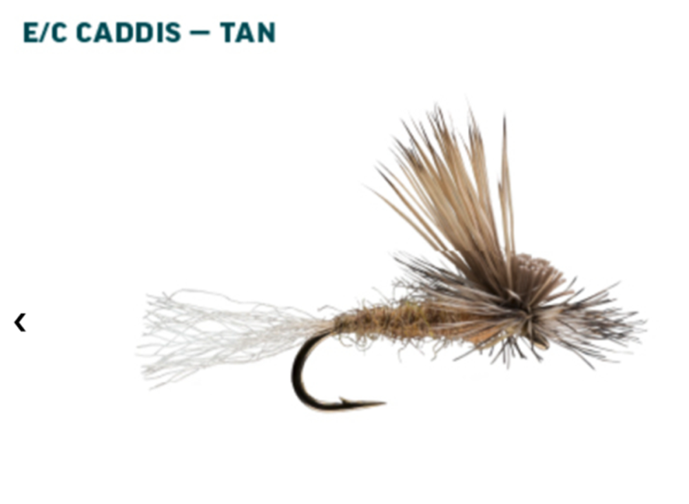 October Caddis Trout Fly Assortment - Nymphs, Dries, Emergers For Fly Fishing