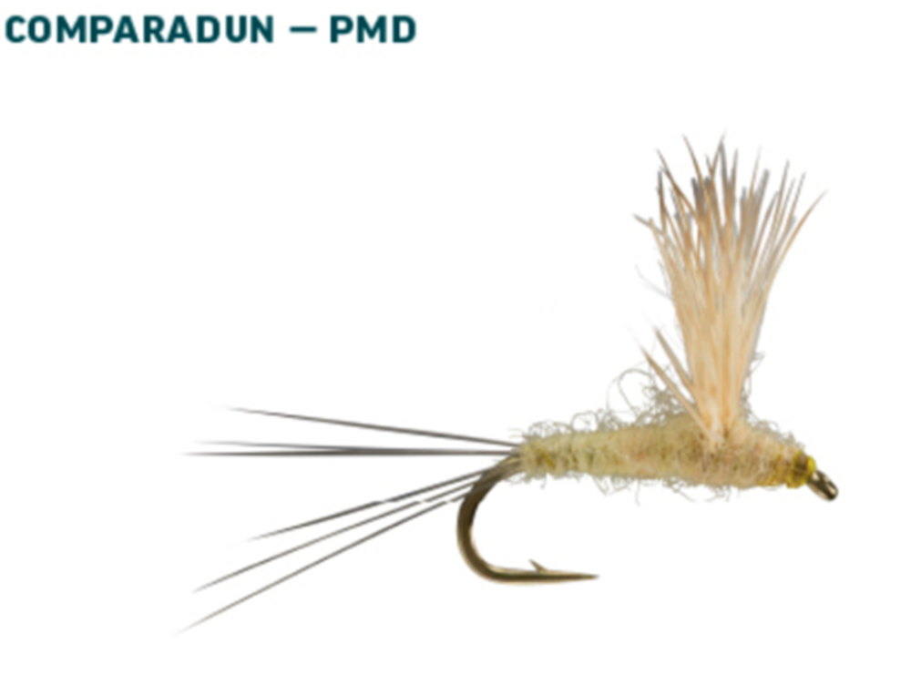 RIO PMD Dry Fly Assortment, Best Trout Dry Flies, Trout Fly Assortments