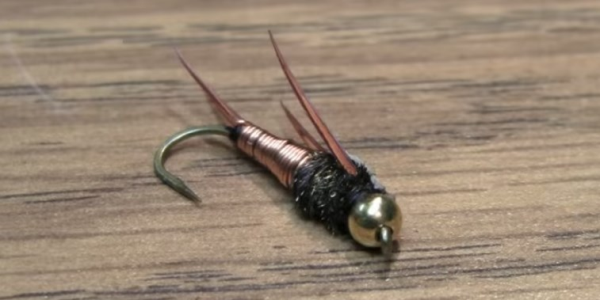The finished product - tie it yourself or buy online. Copper John Fly for Trout