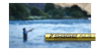 Shop Fly Rods by Fly Fishing Styles