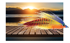 Peacock Bass Flies for Sale Online