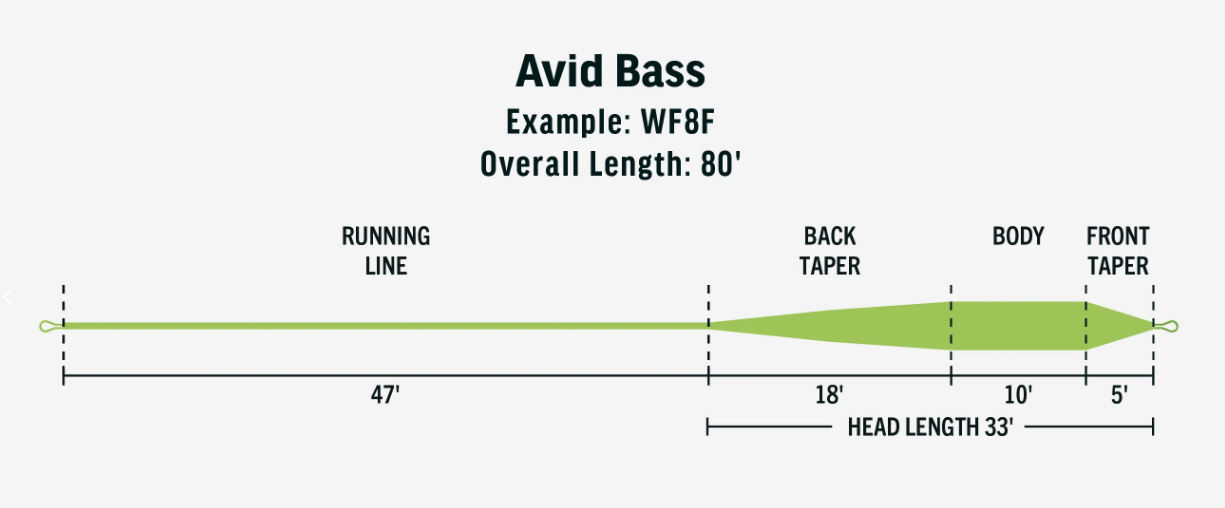 RIO Avid Bass Fly Line Taper