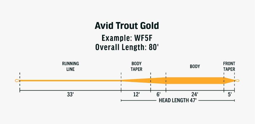 A great economical fly line for people looking to fly fish for trout