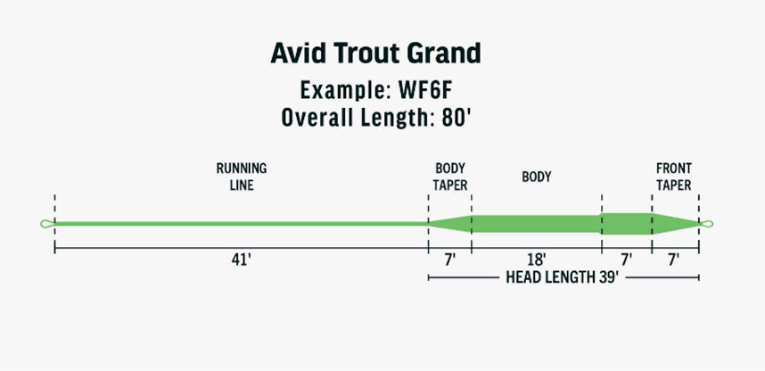 A great fly lone for trout fishing with streamers