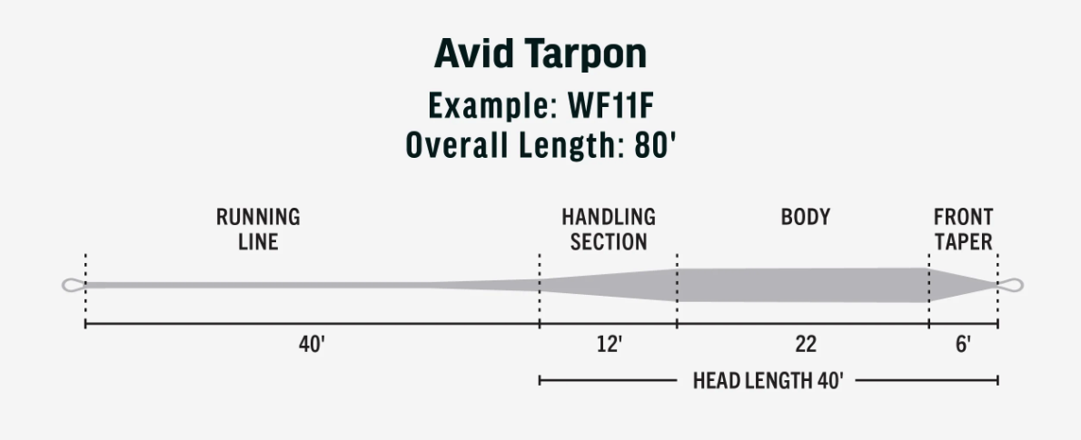 Durable and slick RIO Avid Tarpon Fly Line, perfect for targeting tarpon in various saltwater environments.