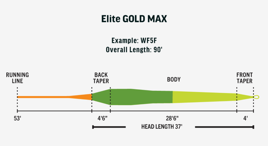 Buy RIO trout fly fishing lines online at The Fly Fishers