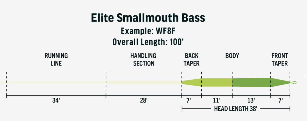 RIO Elite Smallmouth Bass Fly Line Taper