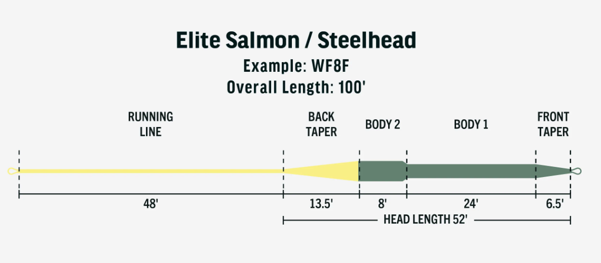RIO Elite Steelhead/Salmon Fly Line taper is perfect for fly fishing salmon and steelhead in rivers.
