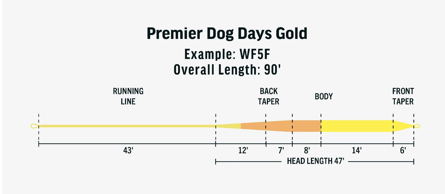RIO Premier Dog Days Gold Fly Line Taper