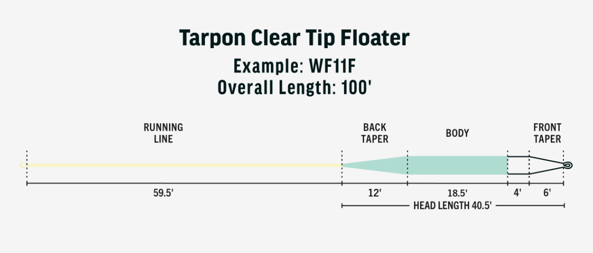 Clear Tip RIO Premier Tarpon Fly Line for close casting without spooking fish, ideal for targeting big tarpon on the flats.