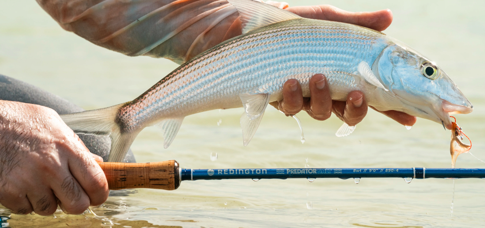 Redington Predator Salt Fly Rod held with bonefish