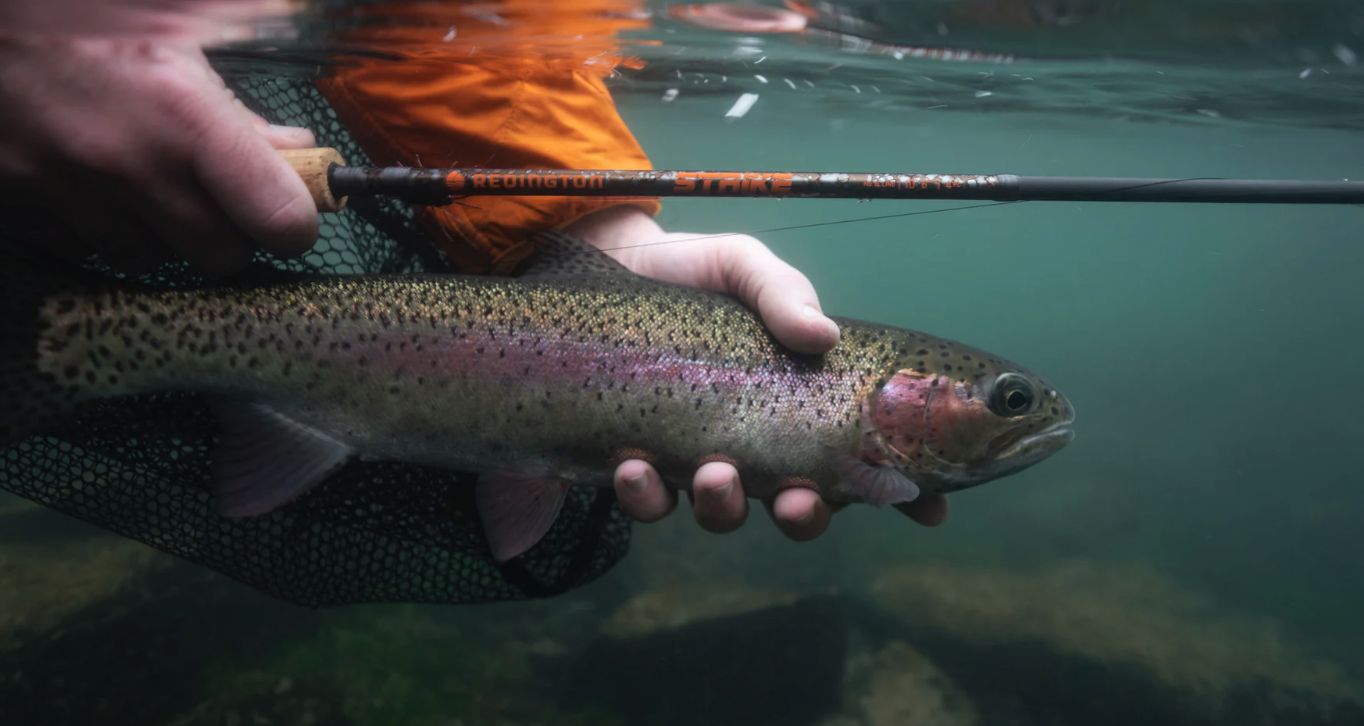 Redington STRIKE Euro Nymph Rod Action