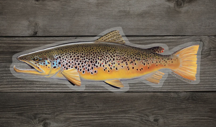 Shop brown trout fishing stickers online at The Fly Fishers.