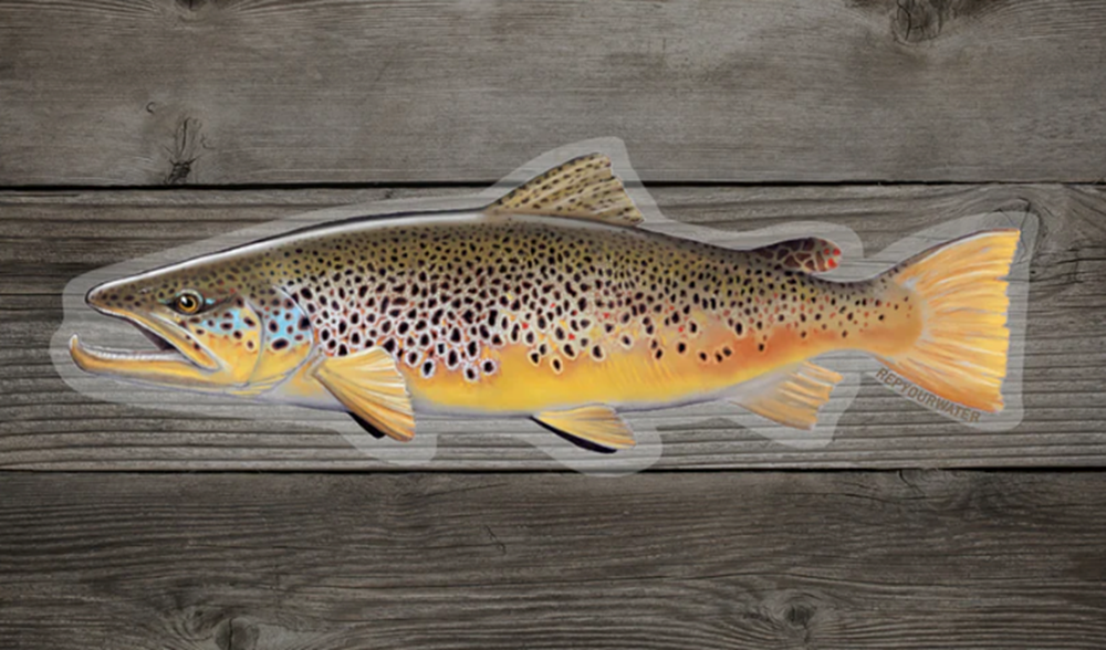 Rep Your Water Brown Trout Sticker