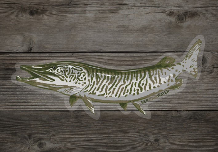 Rep Your Water Artist's Reserve Musky Sticker on wood panel