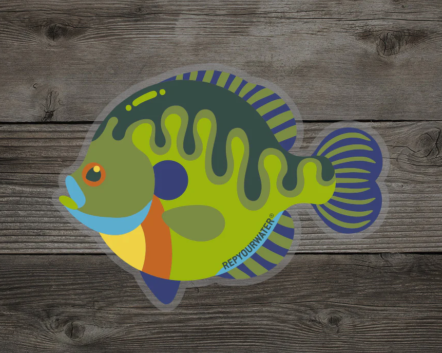 Rep Your Water Retro Bluegill Sticker on wood background