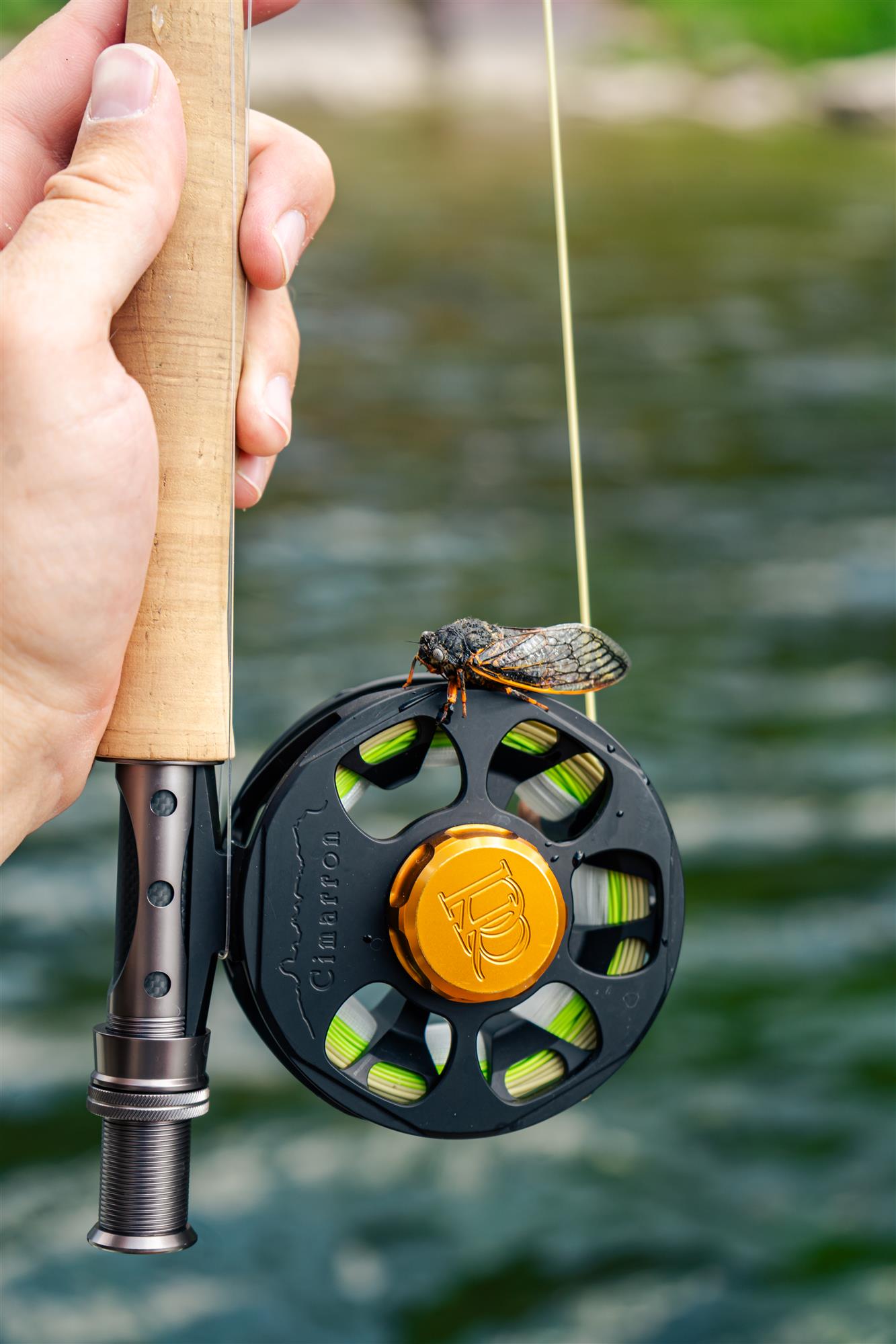 Ross Cimarron LT fly reel on rod with cicada fly resting on spool freshwater trout fishing setup