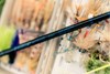 Sage SALT R8 Fly Rod Limited Edition Permit Grand Slam 990-4 laying by permit flies