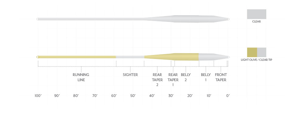 Scientific Anglers Magnitude Smooth Balance Clear Fly Line Taper High-performance saltwater fly line built for tropical heat and smooth casting control