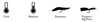 Applications for the Scientific Anglers Spey Lite Skagit Head