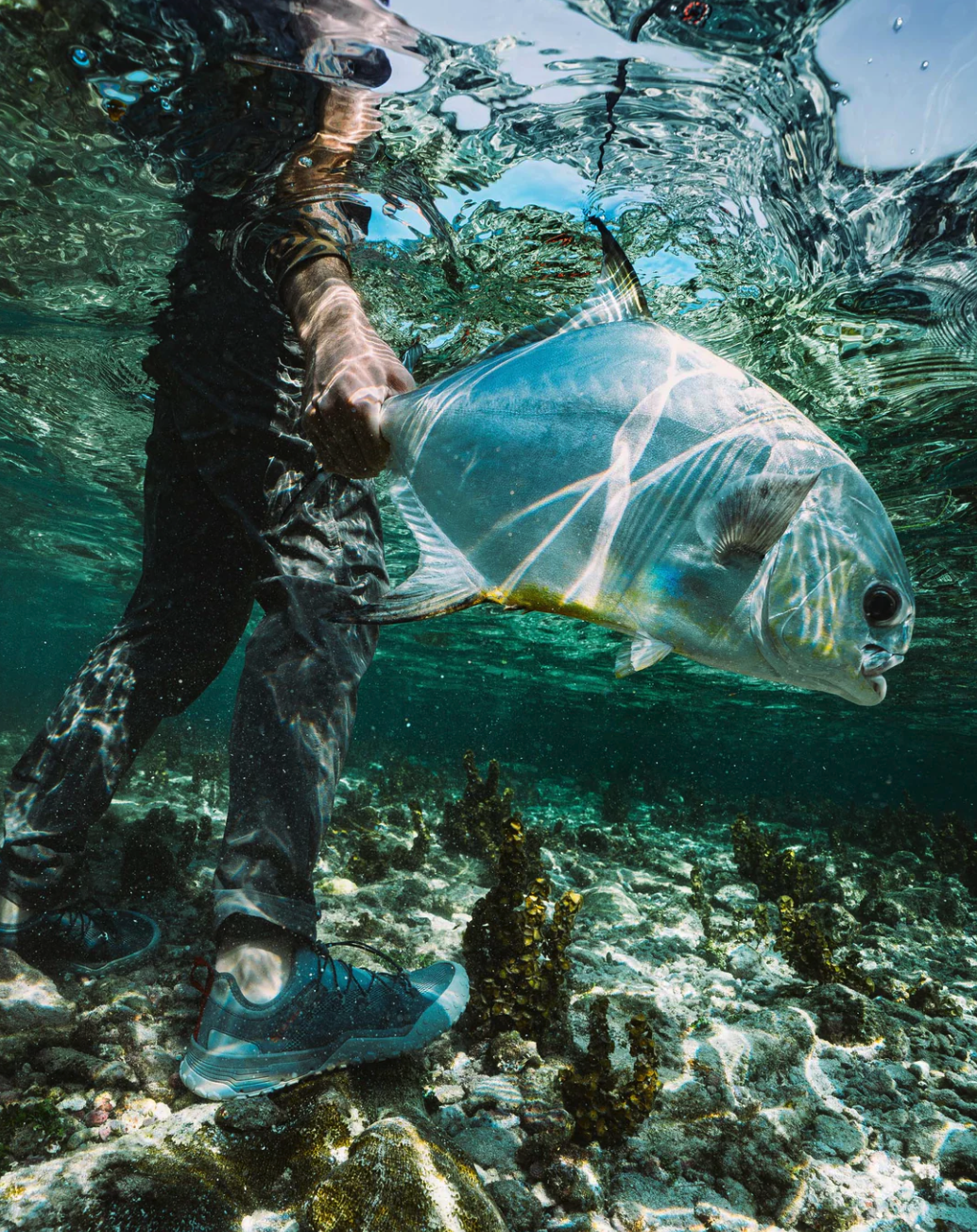 Simms online dealer The Fly Fishers Simms Pursuit Shoe.