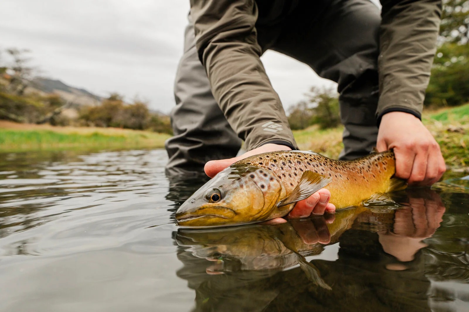 Angler wearing Skwala Fusion Tactical Hoody while fly fishing for trout in cold weather