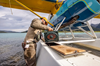 Man putting Turtlebox Original Speaker into float plane