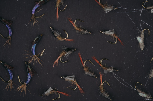 Umpqua UPG Foam Daytripper Mini Fly Box Flies