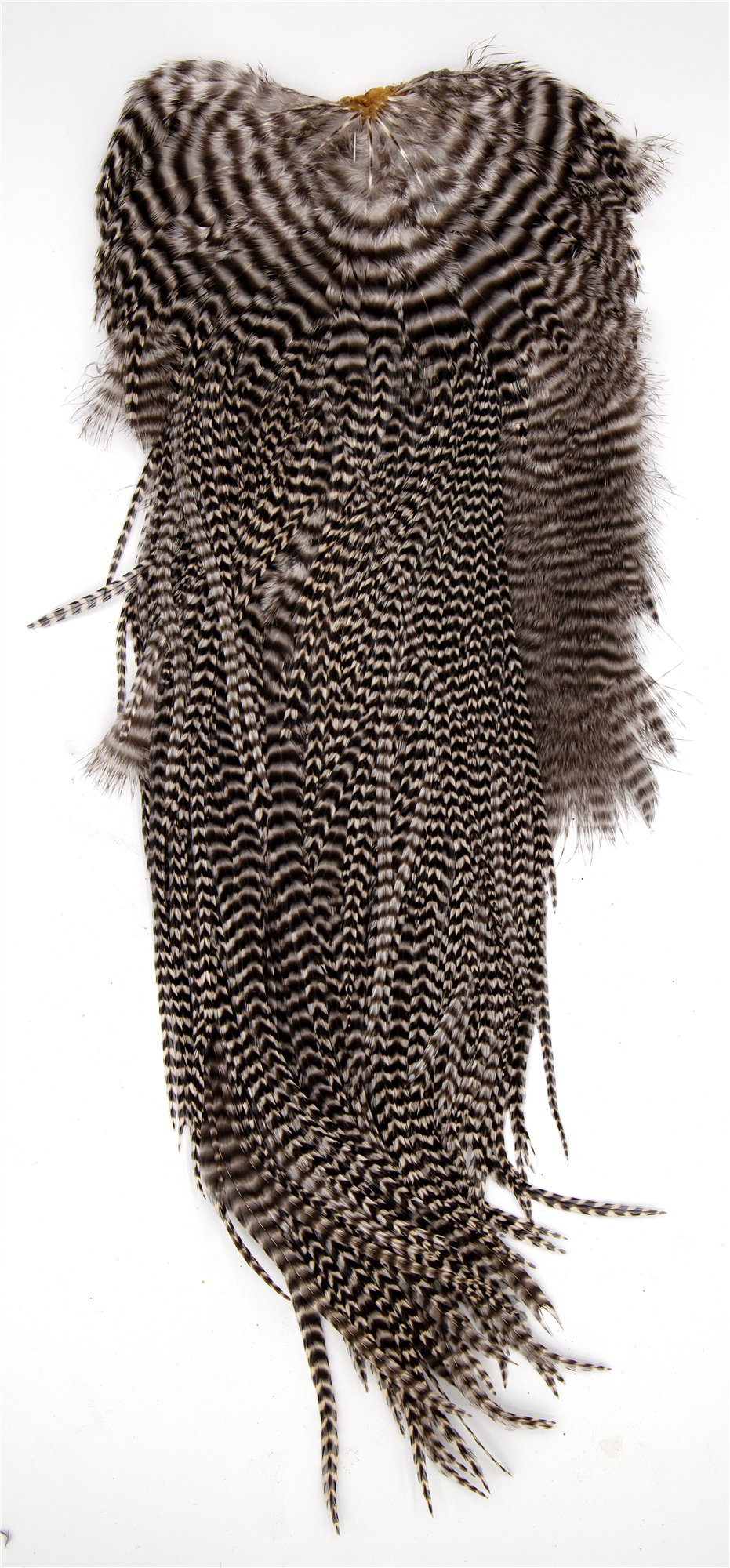 Premium Metz grizzly saddle feathers for trout, bass, and predator flies