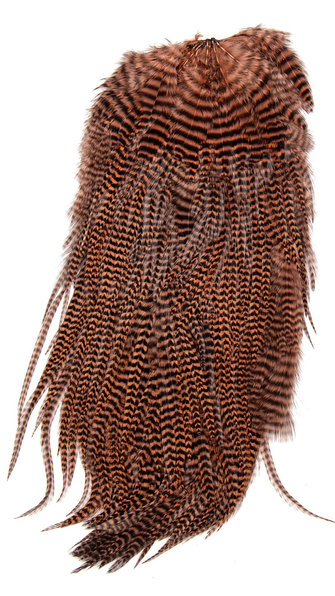 Umpqua Metz Magnum Saddle grizzly brown fly tying hackle feathers for streamers and articulated flies