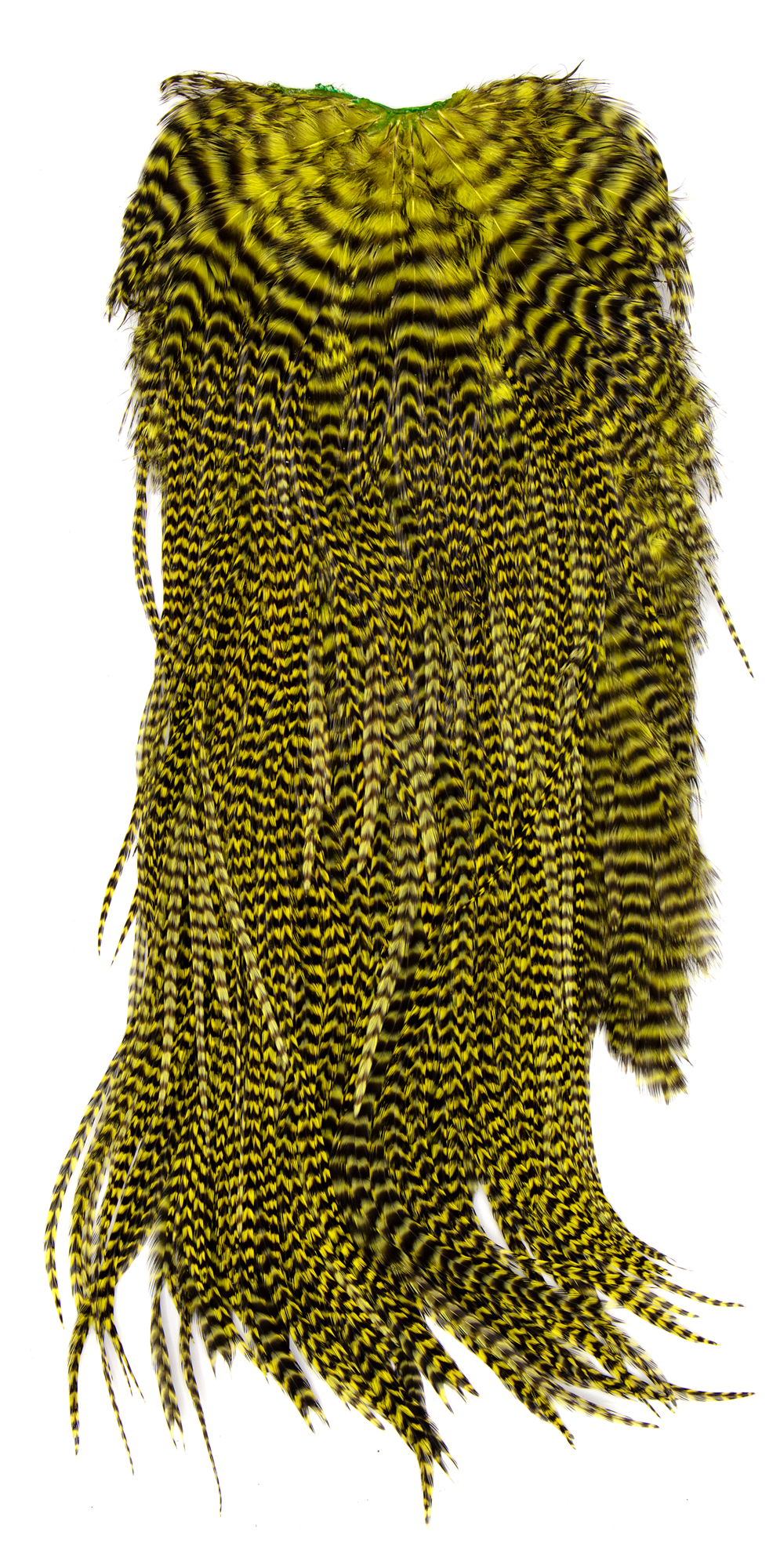 Umpqua Metz Magnum Saddle chartreuse grizzly fly tying hackle for bright streamer patterns