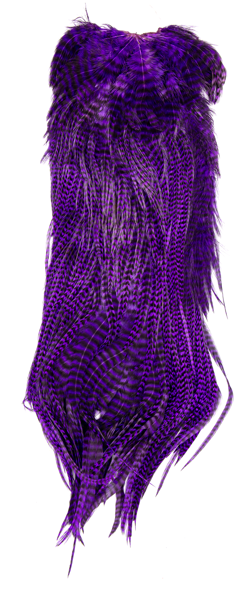 Premium purple Metz Magnum saddle hackle for predator and saltwater flies