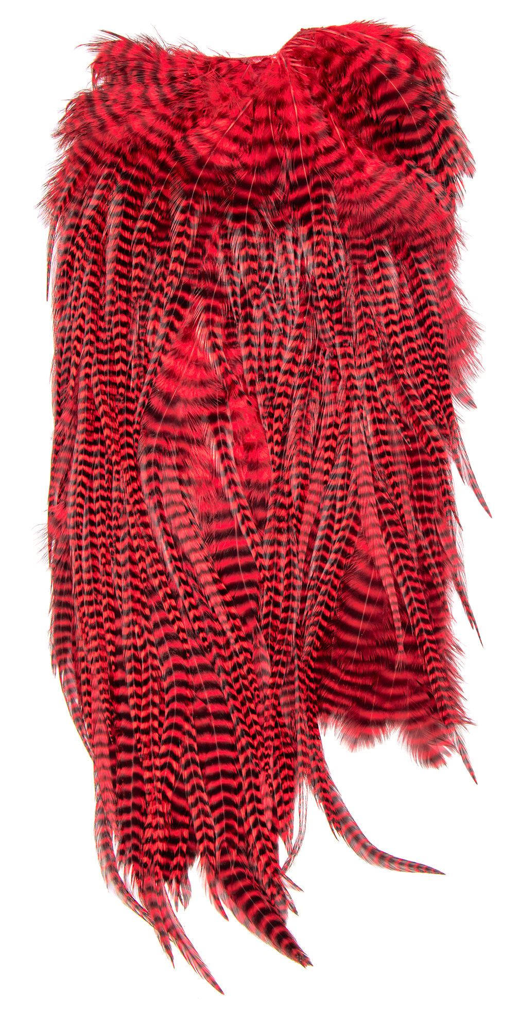 Red barred saddle hackle for bass bugs, predator flies, and articulated streamers