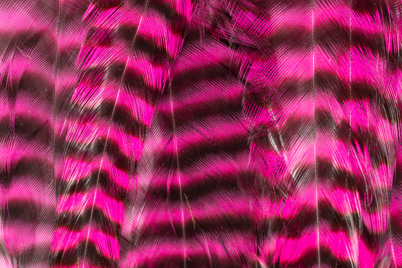 Hot pink grizzly feathers ideal for salmon, pike, and musky streamers