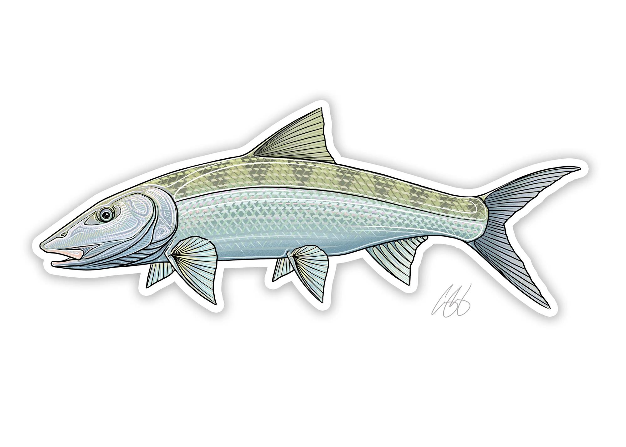 Bonefish style decal