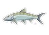 Bonefish style decal